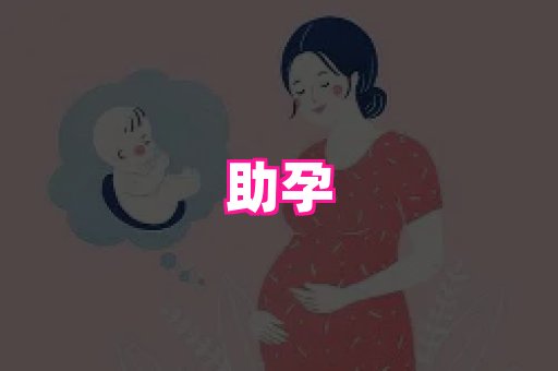 试管助孕网站 1