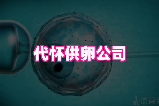 试管助孕网站 4